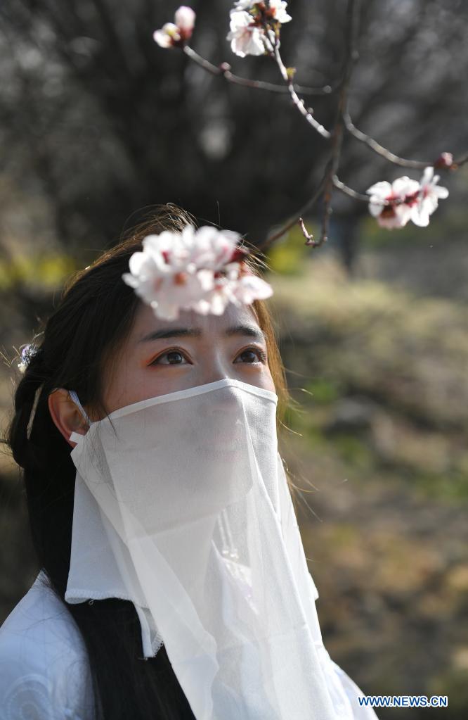 Spring scenery across China