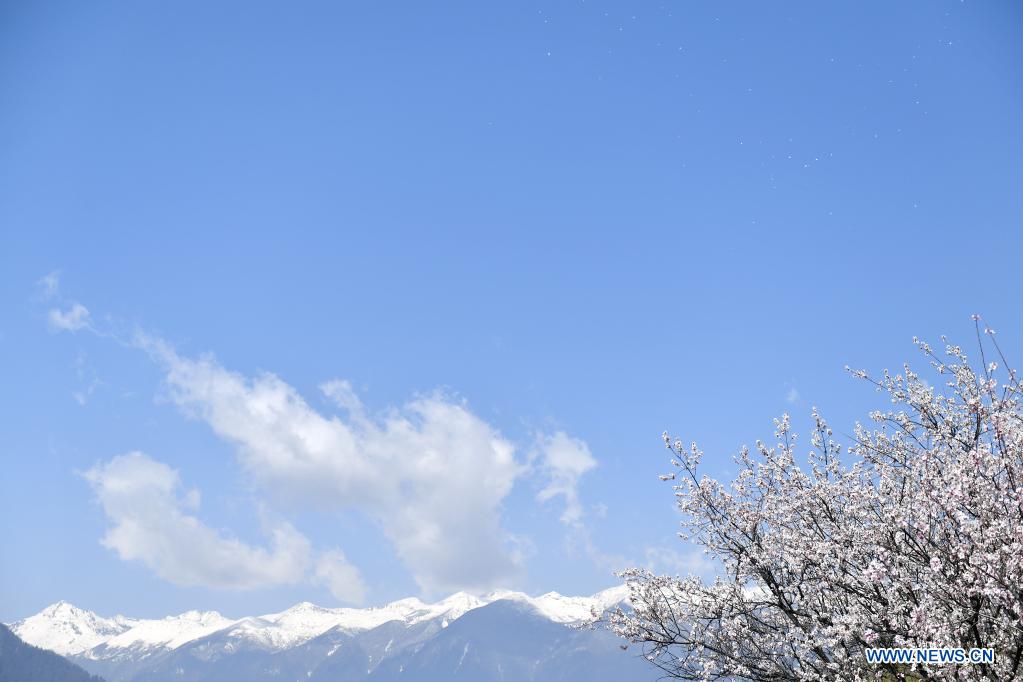 Spring scenery across China