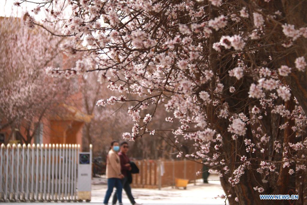 Spring scenery across China