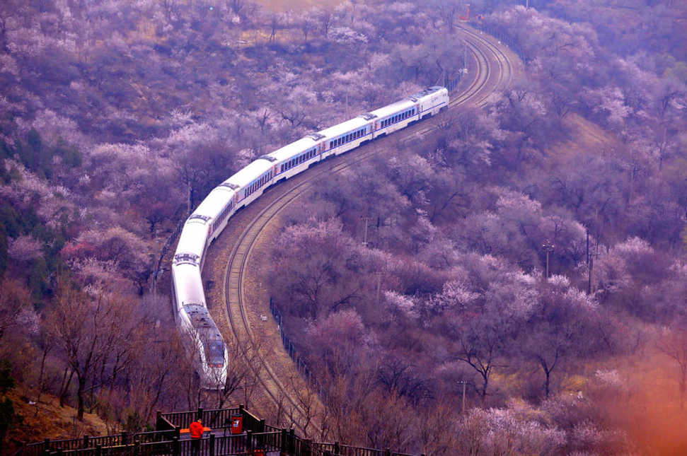 Ten photos from across China: March 26 – April 1