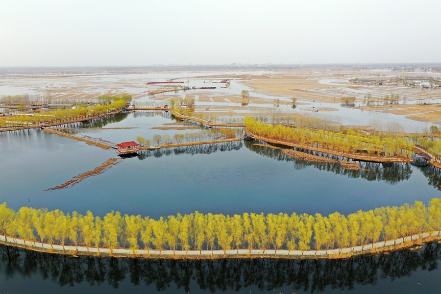 Four years on, Xiong'an New Area construction at full throttle