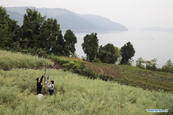 Chinese researchers conduct environment study in Three Gorges Reservoir area