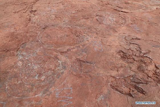 Newly-found dinosaur footprints seen at excavation site in SE China