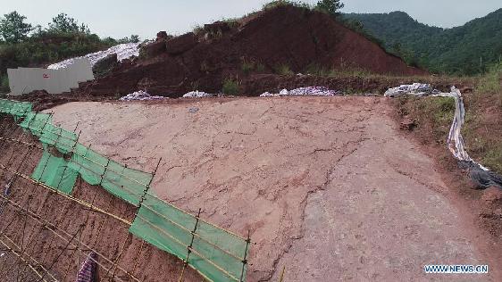 Newly-found dinosaur footprints seen at excavation site in SE China