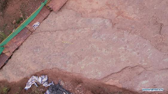 Newly-found dinosaur footprints seen at excavation site in SE China