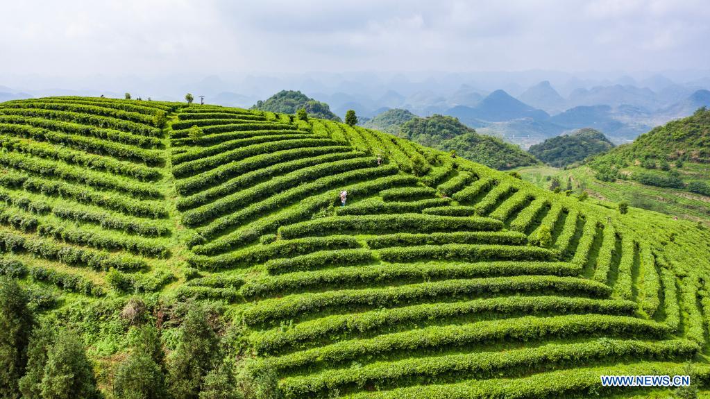 Solar term Guyu marked in China