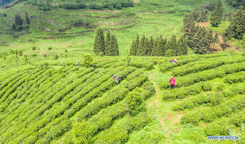 Solar term Guyu marked in China