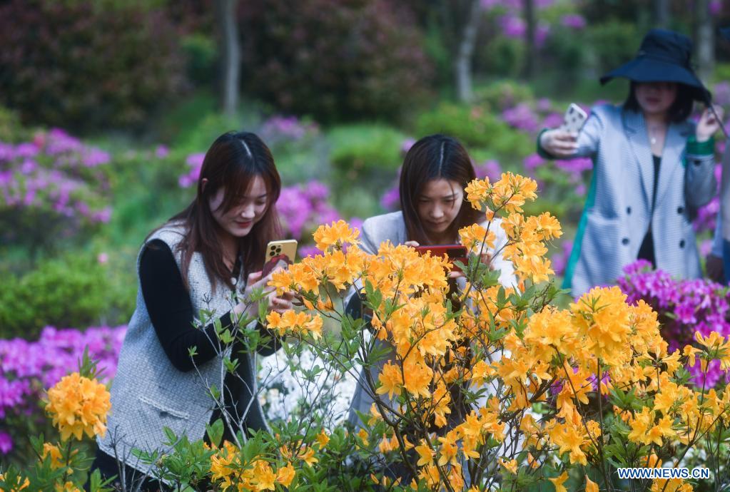 Flowers in full bloom as temperature rises in Changxing, E China