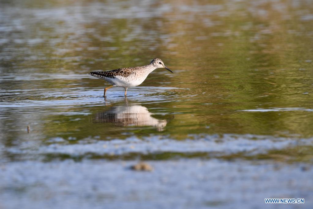 In pics: Minjiang River estuary nature reserve in Fujian, SE China