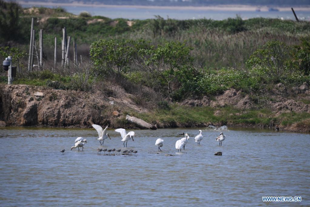 In pics: Minjiang River estuary nature reserve in Fujian, SE China