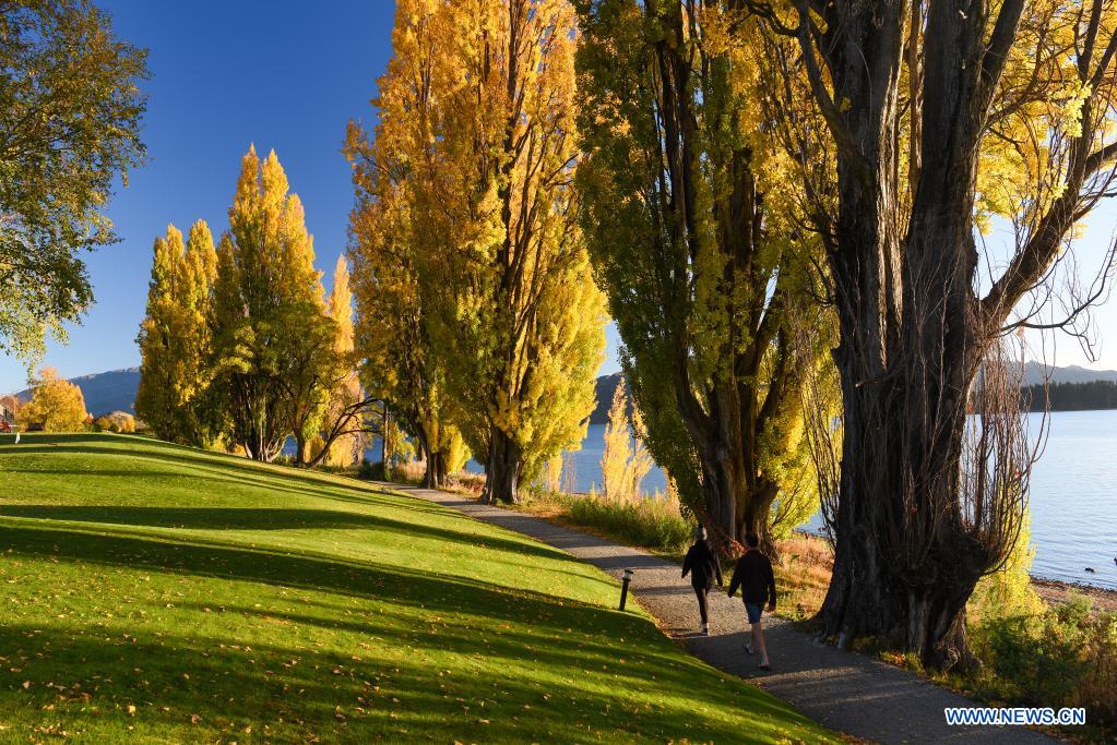 Autumn scenery of Lake Wanaka in New Zealand