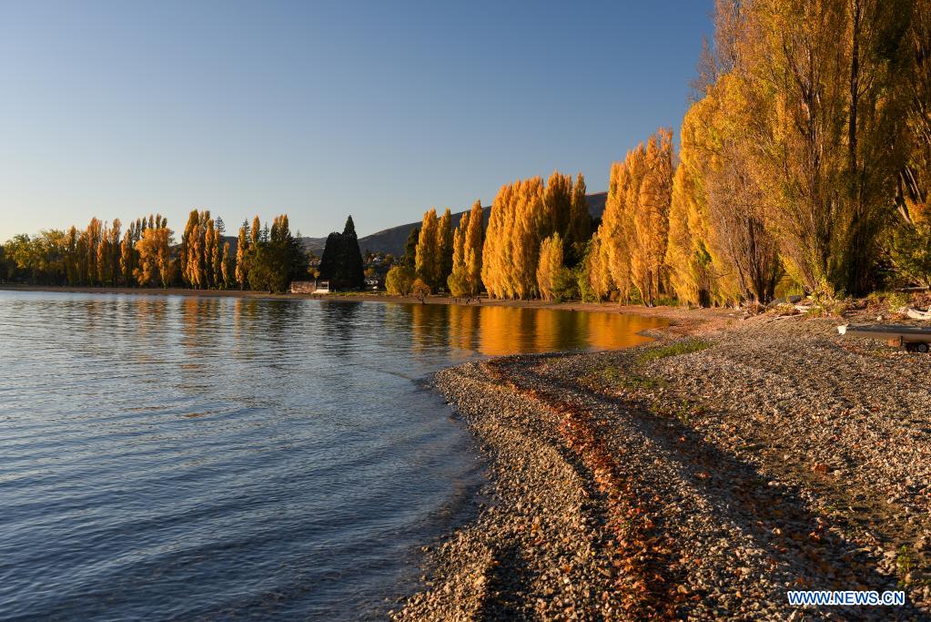 Autumn scenery of Lake Wanaka in New Zealand