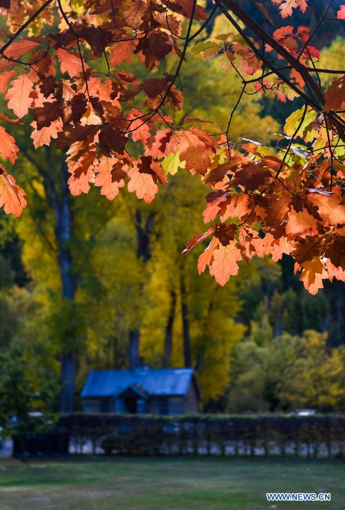 Autumn scenery of Lake Wanaka in New Zealand