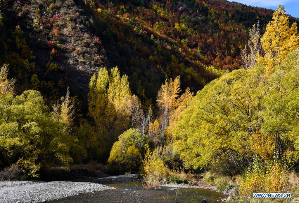 Autumn scenery of Lake Wanaka in New Zealand