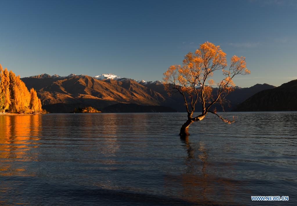 Autumn scenery of Lake Wanaka in New Zealand