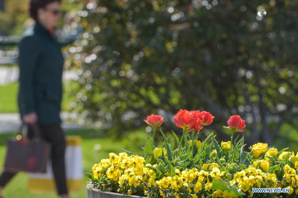 Spring scenery in Vienna, Austria