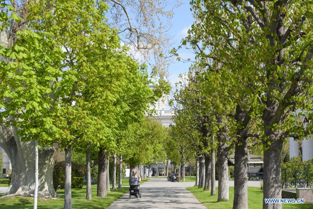 Spring scenery in Vienna, Austria