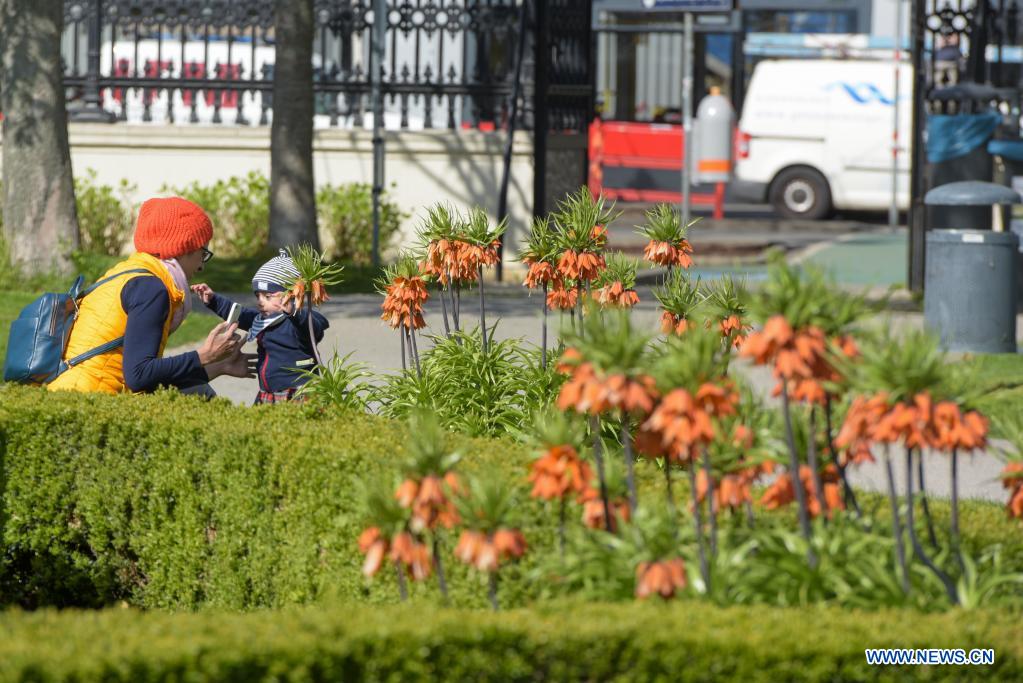 Spring scenery in Vienna, Austria