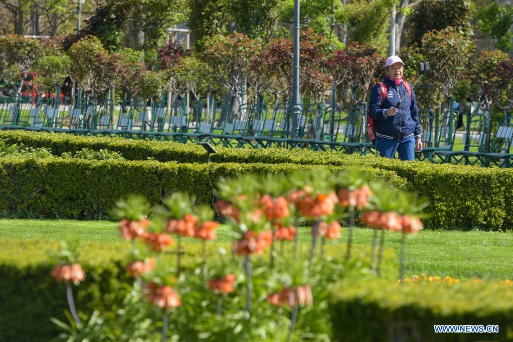 Spring scenery in Vienna, Austria