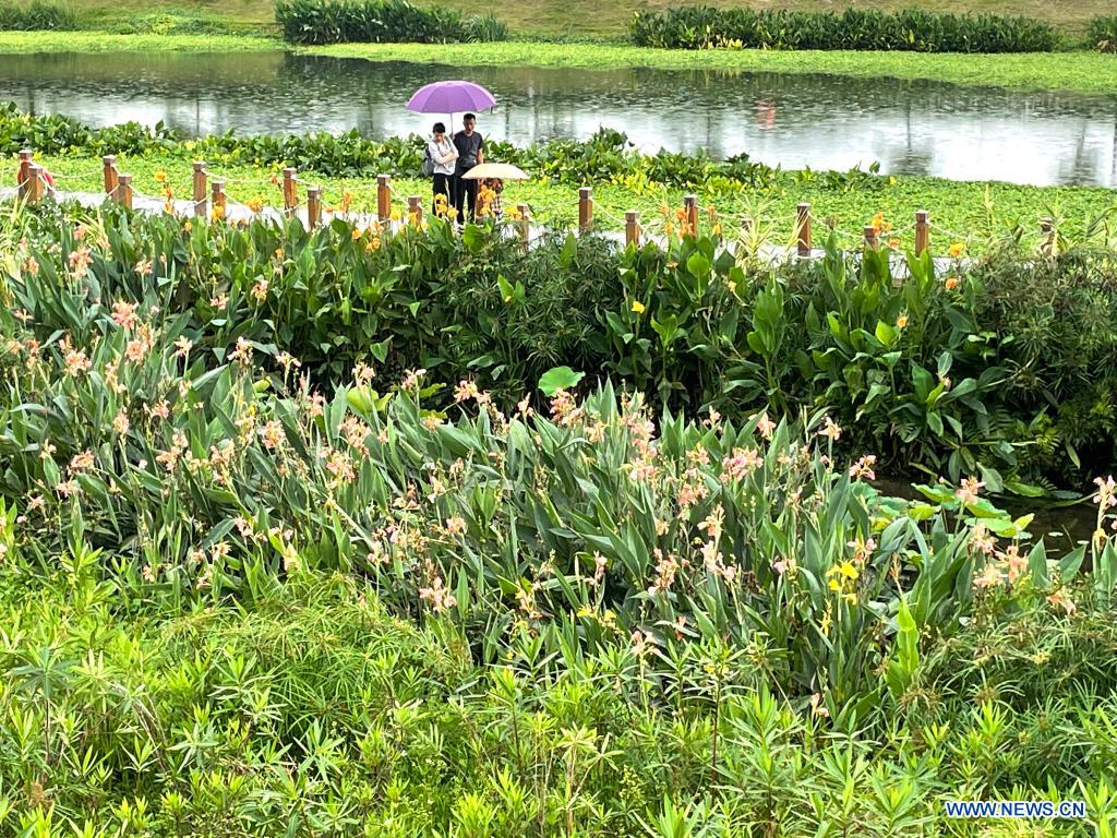 Scenery of Nakao River wetland park in Nanning