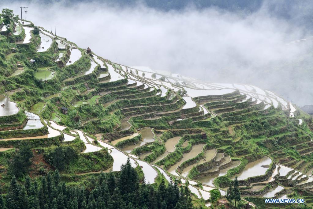 In pics: terraced fields in Congjiang County, SW China