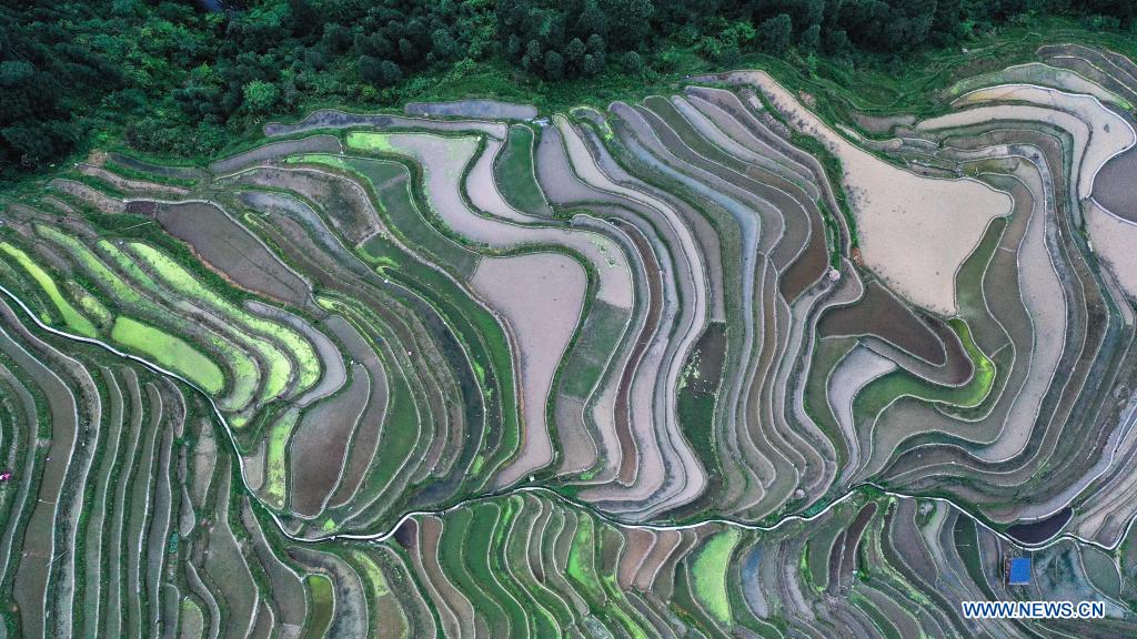 In pics: terraced fields in Congjiang County, SW China