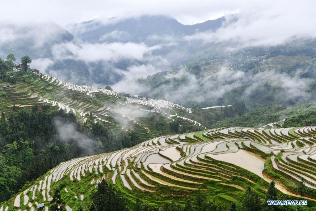 In pics: terraced fields in Congjiang County, SW China