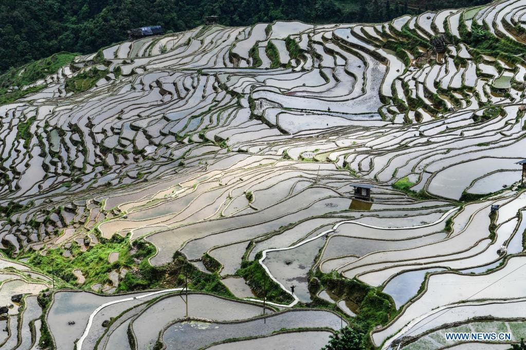 In pics: terraced fields in Congjiang County, SW China