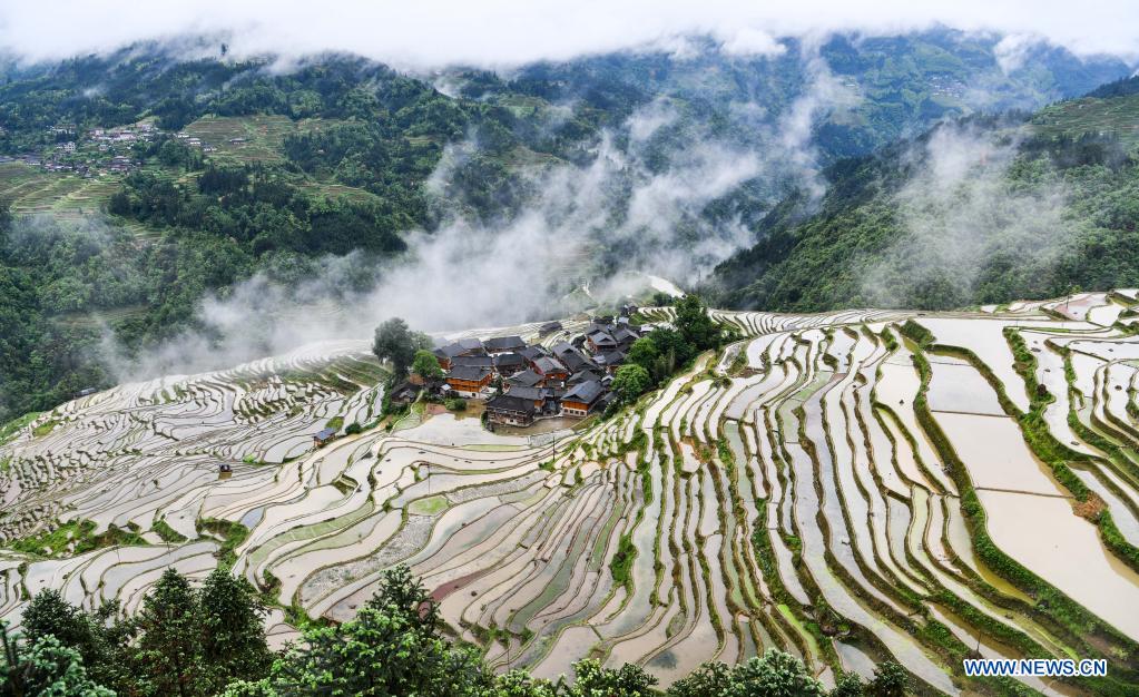 In pics: terraced fields in Congjiang County, SW China