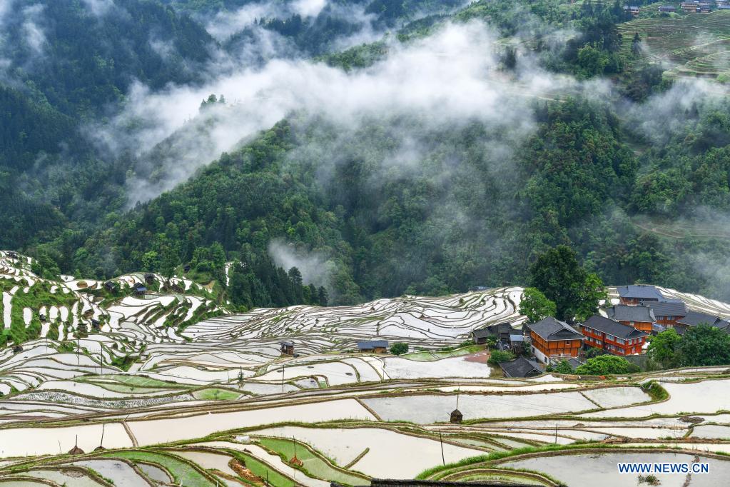 In pics: terraced fields in Congjiang County, SW China