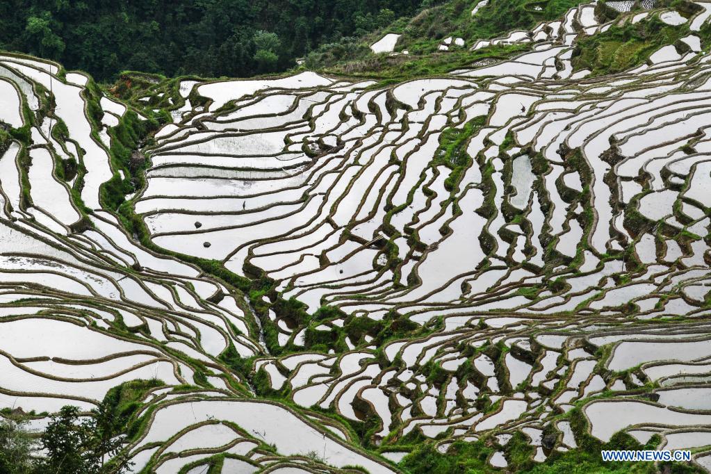 In pics: terraced fields in Congjiang County, SW China