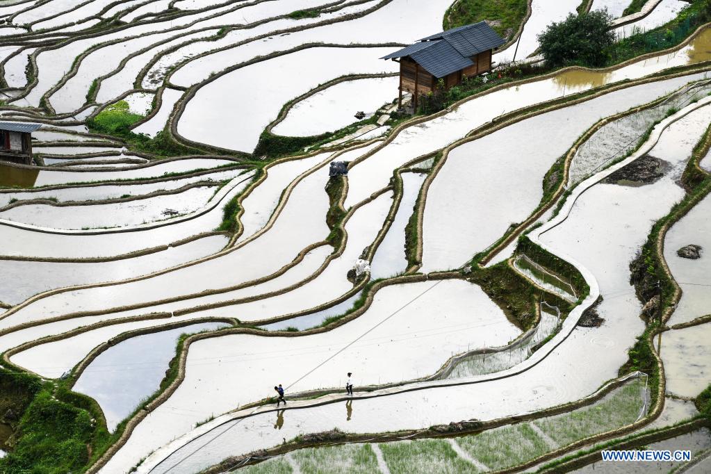 In pics: terraced fields in Congjiang County, SW China