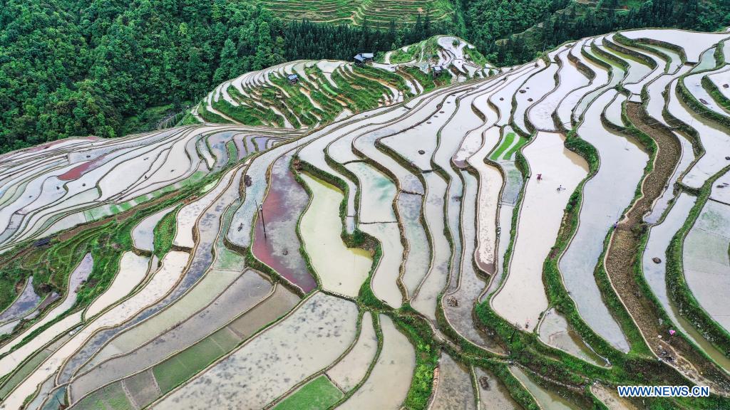 In pics: terraced fields in Guizhou