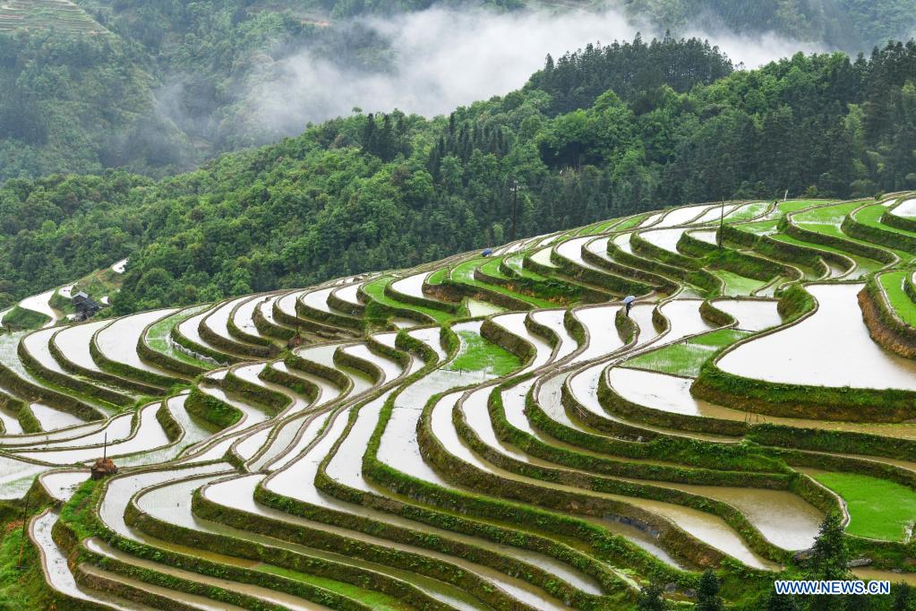 In pics: terraced fields in Guizhou