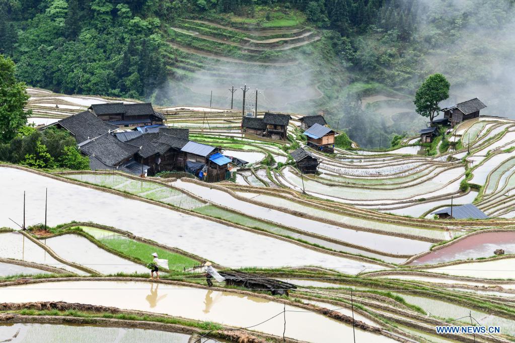 In pics: terraced fields in Guizhou