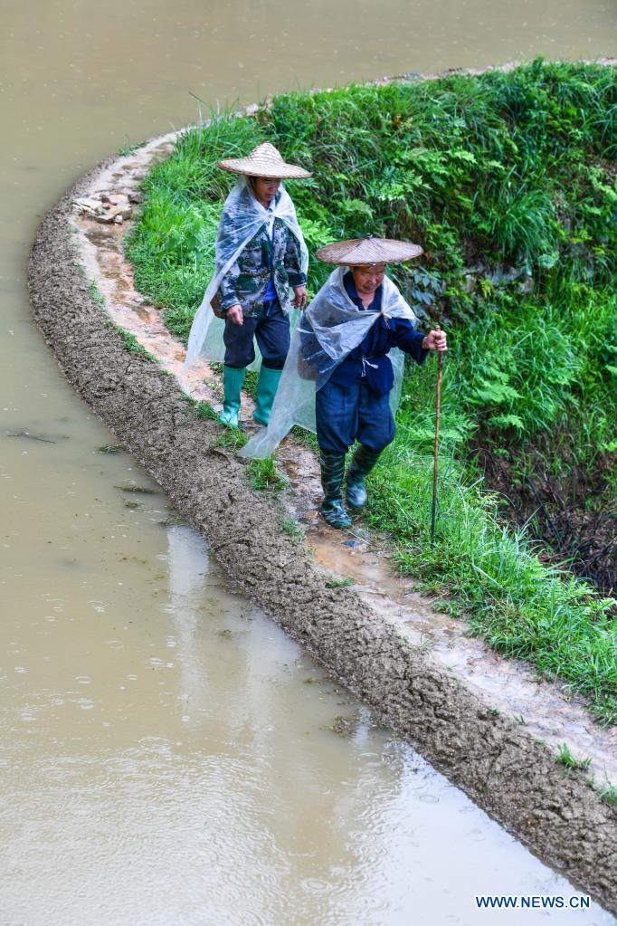 In pics: terraced fields in Guizhou