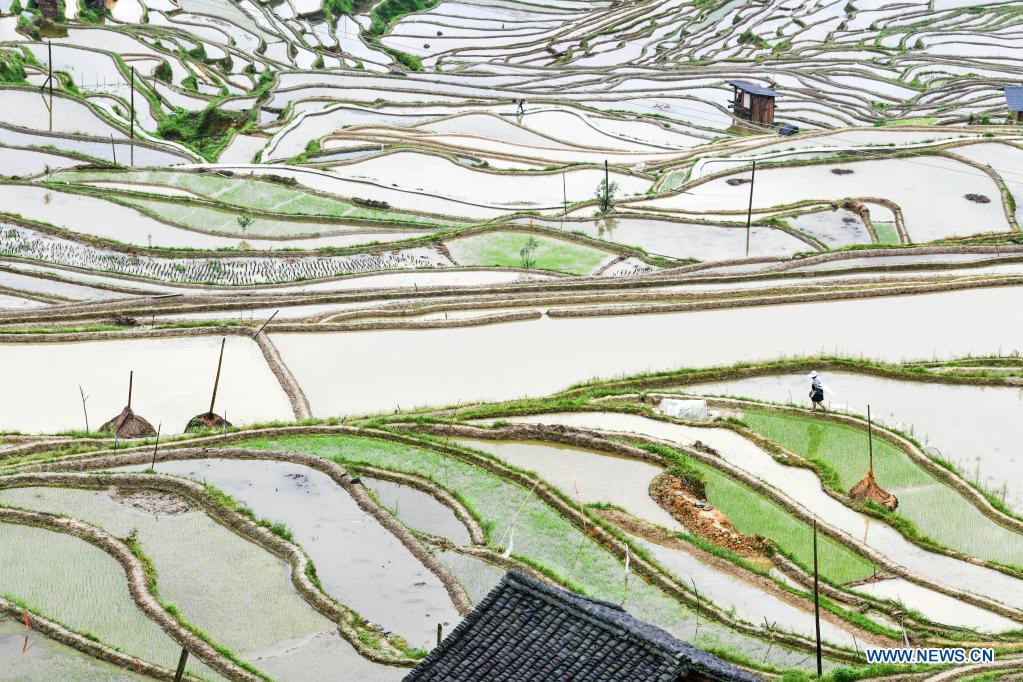 In pics: terraced fields in Guizhou