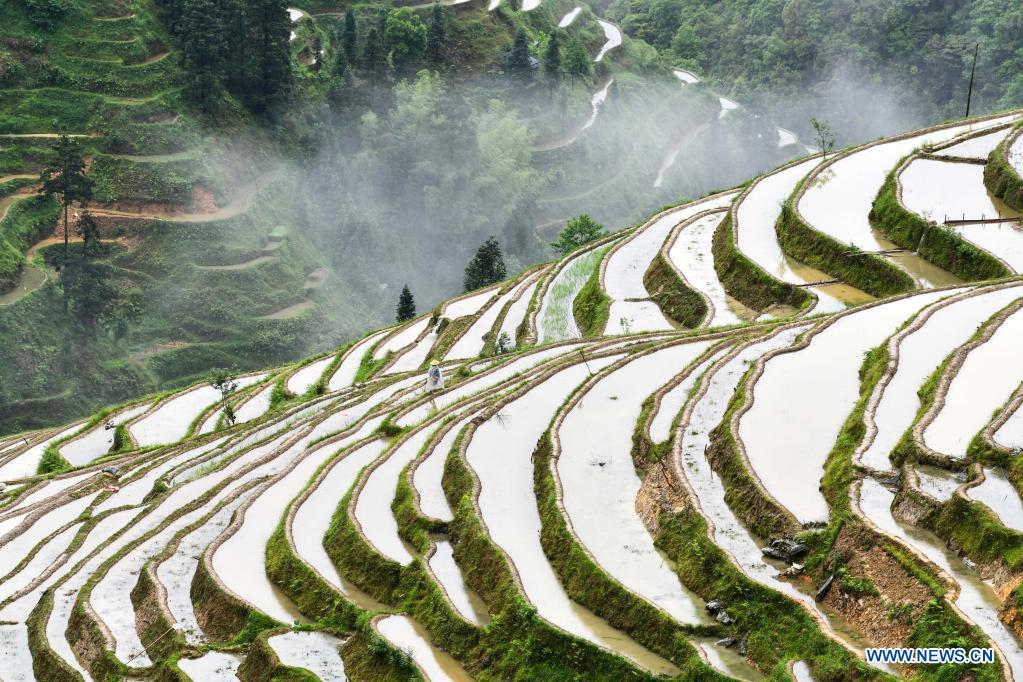 In pics: terraced fields in Guizhou