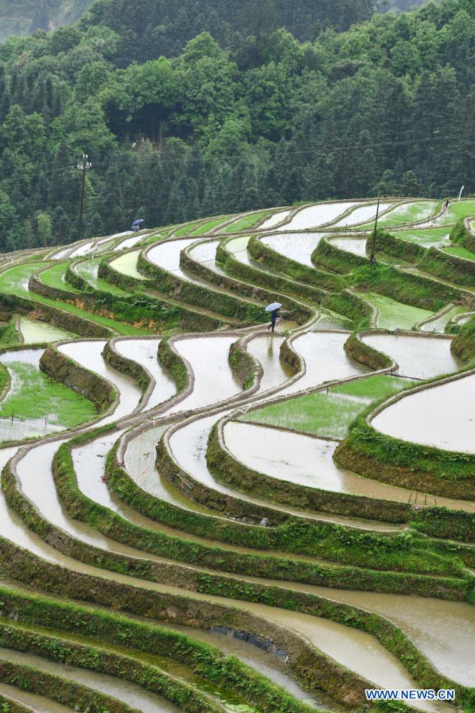 In pics: terraced fields in Guizhou