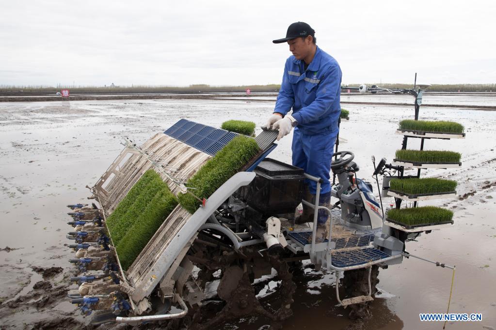 BDS helps to develop smart agriculture in N China