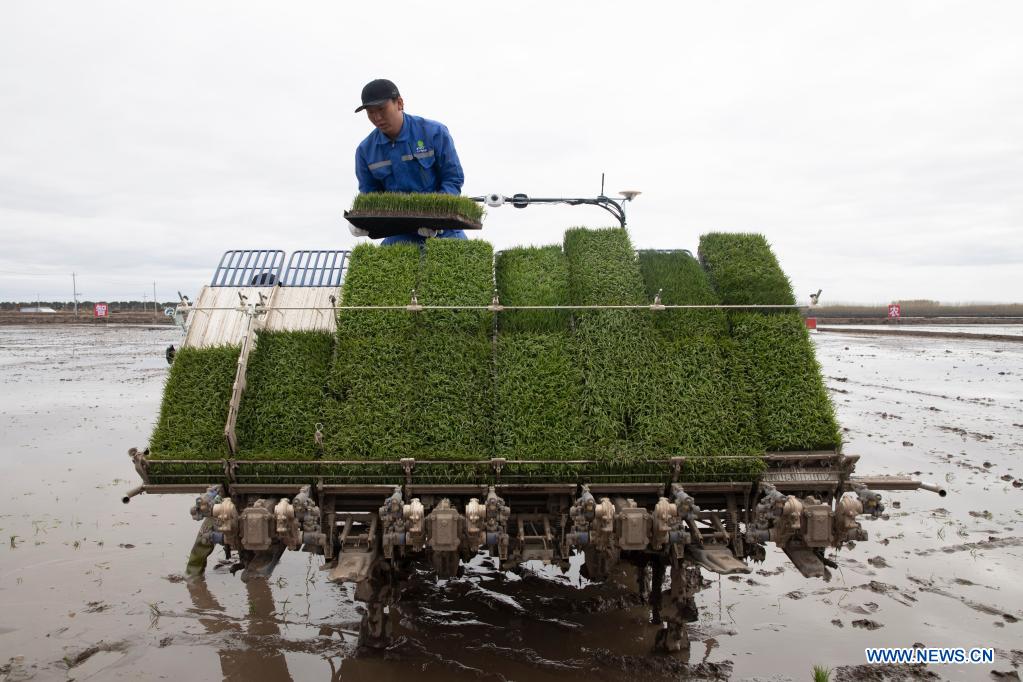 BDS helps to develop smart agriculture in N China