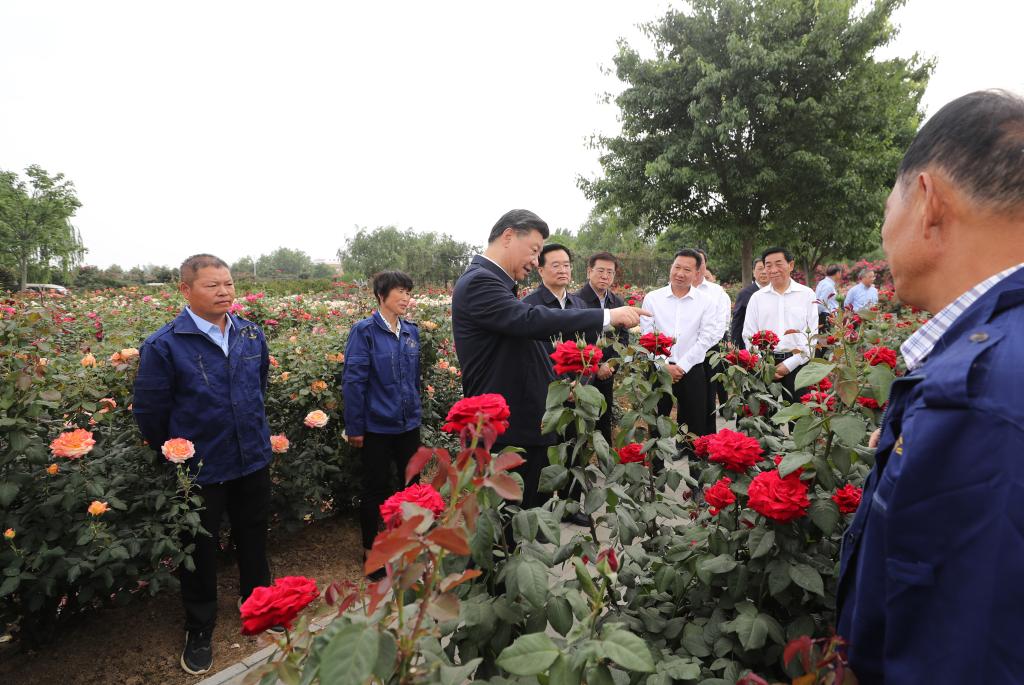 Xi inspects central Chinese city Nanyang