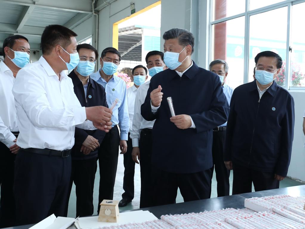 Xi inspects central Chinese city Nanyang