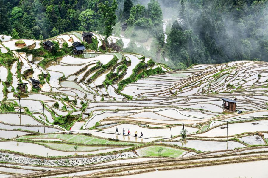 Xiplomacy: Xi's civilization view offers insight into today's world