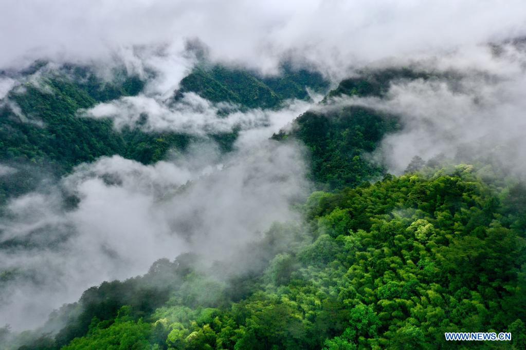 Scenery of Wuyishan National Park in Fujian