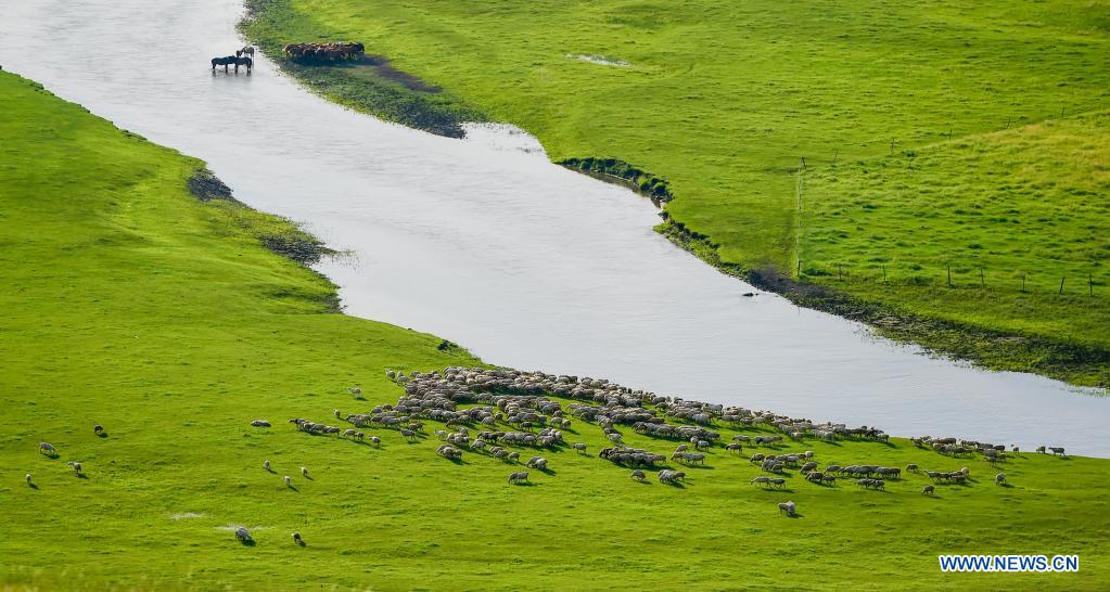 Scenery of Morigele River in Hulun Buir, N China