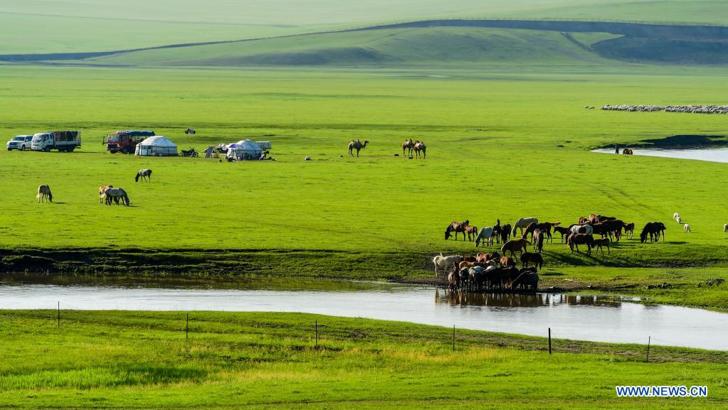 Scenery of Morigele River in Hulun Buir, N China