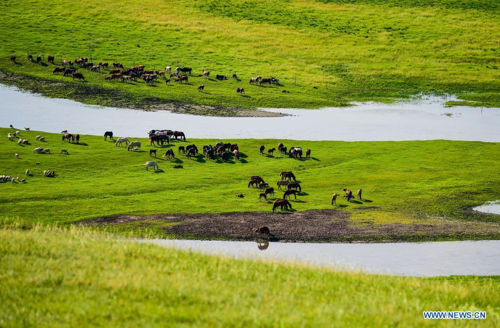 Scenery of Morigele River in Hulun Buir, N China