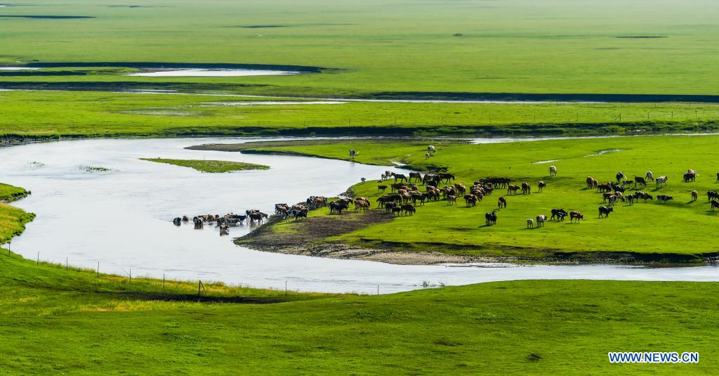 Scenery of Morigele River in Hulun Buir, N China