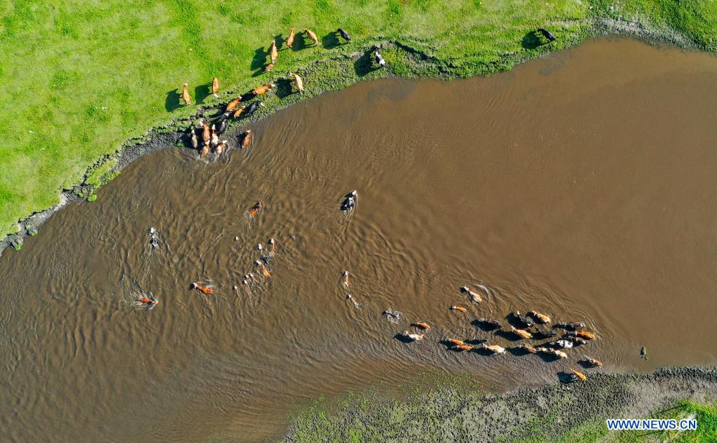 Scenery of Morigele River in Hulun Buir, N China